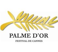 Cannes 63